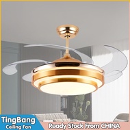 【TingBang】DC Motor Ceiling Fan With Light 36"42"48" Ceiling Fan Gold Sliver Fan With Light