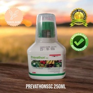 Prevathon 250 ml 5SC Chlorantraniliprole Insecticide -FMC