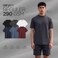Benidson Aerysm Regular Danbowl 290 Gsm T-Shirt POLOS