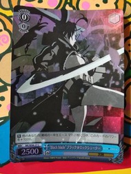 Black ★ Rock Shooter,Weib Scbwars閃卡