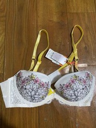 Triumph bra