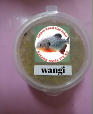 umpan bawal kacang mede halus