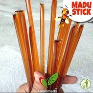 Madu Quad Madu Tualang Stick 1 batang Madu Asli