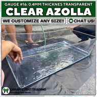 TRANSPARENT AZOLLA BEDS GAUGE 16 AZOLLA POND TRANSPARENT CLEAR TRAPOND Fishpond Fishtank 2 feet
