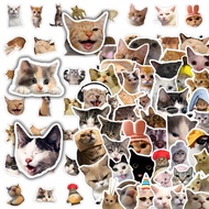 50Pcs Funny Cat Stickers Cartoon Cute Decals Toy Stationery Guitar Phone Bicycle Laptop Luggage Graf