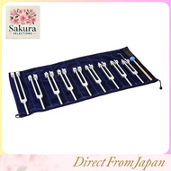 Dreld Chakra Tuning Fork Set - Silver Set of Solfeggio Tuning Forks with 9 Chakra Tuning Forks + 1 S