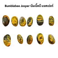 Bumblebee Jasper From Indonesia