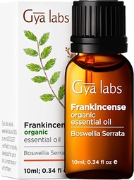 Gya Labs Organic Frankincense Essential Oil for Pain - 100% Natural Therapeutic Grade Pure Organic Frankincense Oil for Skin - Frankincense Essential Oil Organic for Face &amp; Diffuser (10ml)
