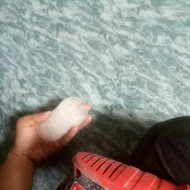 Carambol seeds size 4.5