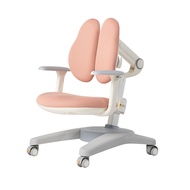 Wisdom Chair เก้าอี้เพื่อสุขภาพเด็ก ErgotrendKids