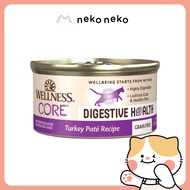 Wellness CORE Digestive Health Pate Turkey Wet Cat Food, 3 oz