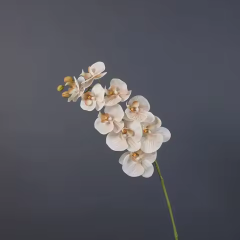 4Pcs Artificial Real Touch Flowers Moisturizing Phalaenopsis Luxury Home Decoration Party Table Wedd