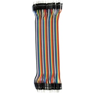 Raft Cable (30cm) 40 pin to 40 (Male-Male) 2.54mm