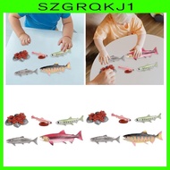 [szgrqkj1] Life Cycle of Salmon Toys Animal Growth Cycle Set for Daycare Presentations