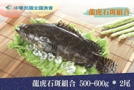 【全國漁會】龍虎石斑組合500g*2尾