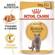Royal Canin British Shorthair Persian Makanan Basah Kucing 85g