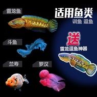 Mirror Channa Channa FlareCermin Channa  雷龙鱼训练镜 斗鱼镜A82