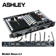 Power Ashley Bison 2.3 Switching Amplifier Class D Original