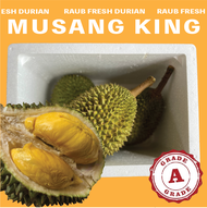 [ Grade A ] Fresh Raub Musang King Durian 6kg / 12kg - Grade A Premium Old Tree Musang King 榴莲猫山王