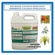 EM4 HAFIZ TANAMAN PERTANIAN (5 Liter)