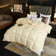 Cotton thickened duvet 95 white goose down core quilt double down winter quilt