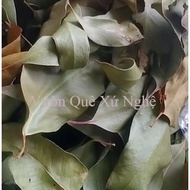 Eucalyptus leaves/Dried, green, fragrant eucalyptus leaves, 100% beautiful leaves
