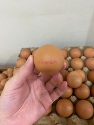Telur Ayam Negri Omega 3 Merah Organik Asli Super Telor Negeri Murah