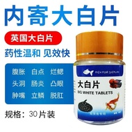 Genuine Big White Flake Fish Medicine Arowana Head Hole Intestinal Flame Arowana Eye Rainbow White D