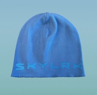 預訂 Pre Order Justin Bieber Coachella merch Skylrk logo Skullcap beanie blue 冷帽 2026