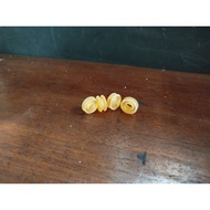 Transmission Stick Bushing Gear Stick Bushing Enpis Shaft Stick Matic 722.6 ; 722.9 ; 722.5 ; 722.4