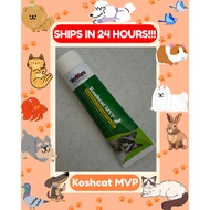 Koshcat MVP - Nutritional Supplement For Cats - Vitamins + Minerals + Lysine For Cats - Koshcat HBC