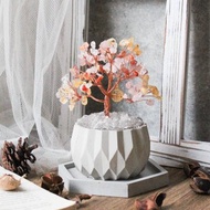 體驗活動 【高雄場】下班隨手作 | 大盆招財水晶樹