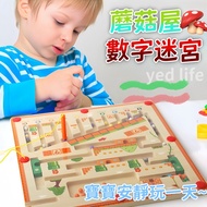Taiwan Shipment Bsmi: M74979 Magnetic Labyrinth Wooden Educational Game Pen Cognitive Early Educatio