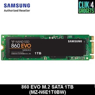 Samsung SSD 860 EVO M.2 SATA 1TB (MZ-N6E1T0BW)