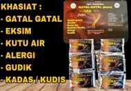KAPSUL COBRA INDIA GATAL-GATAL (EKSIM) RENCENG ASLI ISI 20 SACHET