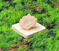 能量擺飾-瑪瑙可愛花朵白晶洞開口笑 招財 療癒 開運  快速出貨