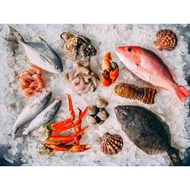 FROZEN MEAT - OYSTER / FULL SHELL MUSSEL / VANNAMEI SHRIMP ( SAME DAY DELIVERY ONLY  )