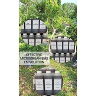 EM4 Solution Effective Microorganisms EM4 Penternakan EM Perikanan EM Pertanian Baja Bonsai