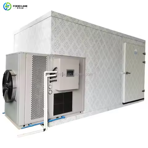 Industrial 220V Tray Dryer Machine for Fruits & Cocoa Beans Dehydration Hot Air Oven for Food Drying