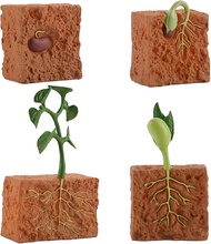 4 PCS Farm Plant Life Cycle Model Figure Set Plants Grown Toy Simulation Educational PVC Plant Growt