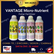Baja Foliar (1L) Vantage TE / Vantage ZinCuMn / Vantage Boron / Vantage CaBMag 叶面肥 Foliar Fertilizer