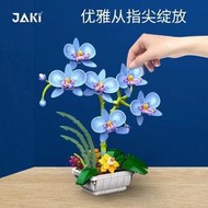 公司現貨- 佳奇 JK29011 積木花系列 蝴蝶蘭（風雅藍）  蘭花  相容樂高 10280 10289 10311