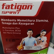 fatigon spirit box