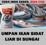 Umpan Ikan Sidat Liar Di Sungai Ampuh Siap Pakai