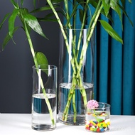 Vase Floor Living Room Decoration Flower Arrangement Dried Flower Glass Vase Transparent Straight Hydroponic Rich Bamboo