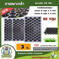 KU 🇹🇭 ถาดเพาะชำ 60 หลุม ถาด ถาดเพาะต้นกล้า ถาดเพาะกล้า ถาดเพาะ ถาดเพาะต้นอ่อน ถาดเพาะเมล็ด ถาดเพาะข้าว ถาดเพาะปลูกผัก ปลูกต้นไม้