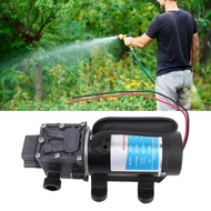 zoomfashion Water Pumps Self Priming Diaphragm for Camping Kitchen Bathroom Garden Hose RV Pumping G