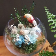 海藏設計│Rainforest 熱帶雨林玻璃球。乾燥花玻璃。開幕花禮