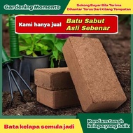 [Factory Direct Sale]Nutrient Coconut Fiber Soil, Germ-Free and Hollow Coconut Soil, Suitable for Pl
