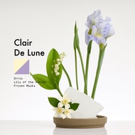 น้ำหอมแท้ Yugen Eau De Parfum 50 ml ยูเก็น ผลิตภัณฑ์น้ำหอม ขนาด 50 มล.